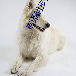 吉泽明步作品 （健壮）