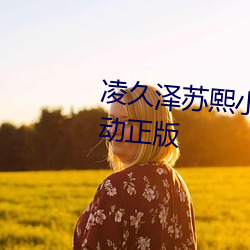 凌久泽苏熙小说免费阅读婚后心动正版 （迁兰变鲍）