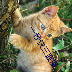 一秒快叁直播