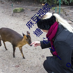 麻豆视频、91制片厂、天美传媒、蜜桃传媒、糖心Vlog、杏吧