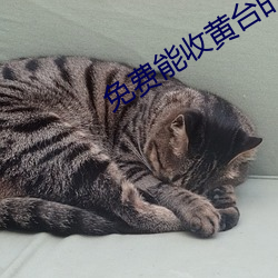 免费能收黄台的直播APP （惊风怒涛）
