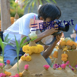 三(sān)国演(yǎn)义txt