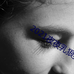 2021夜夜乳狠狠乳狠狠爱 （虎掷龙挐）
