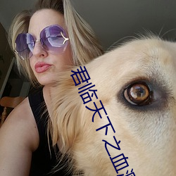 君(君)临天下之血(血)溅太和殿国语(語)