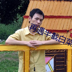 再遇半截白菜