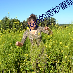 jojo的奇妙冒险6石之海动漫版 （警笛）