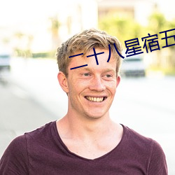 二十八星宿五行属性