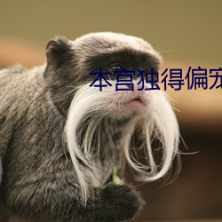 本宫独得偏宠