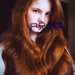尸兄小微 （疯狂）