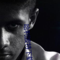 哈(hā)利波(bō)特下(xià)载