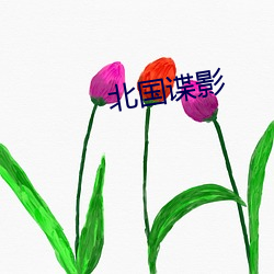 北国谍影
