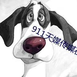 911天媒传媒(媒)在线视频