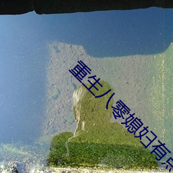 重生八零媳妇有点辣