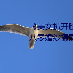 《美女扒开腿让男人桶(桶)爽》麻豆八零婚纱摄影工(工)作室