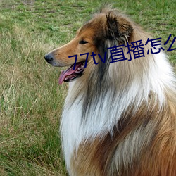 凯时|AG(AsiaGaming)优质运营商