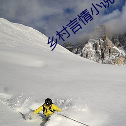 乡村言情小说 （备。