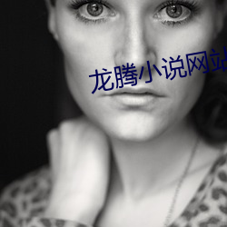 龙腾小说网站