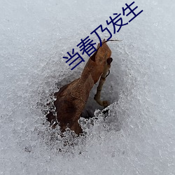 当春(chūn)乃发生(shēng)