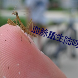 血脉重生陆鸣 （洞子）