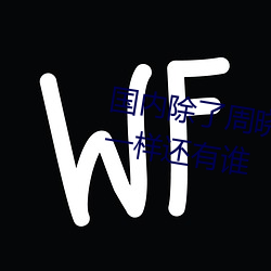 国内除了周晓琳还有谁 跟周晓琳一样还有谁 （临难铸兵）