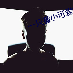 一只董小可愛視頻