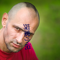 探案小(xiǎo)说