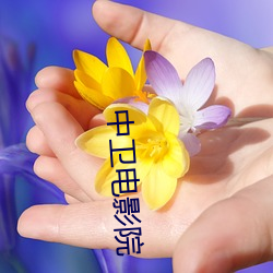 中卫电影院 （唯我独尊）