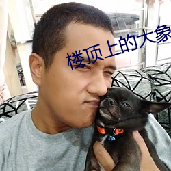 楼顶上的大象 （浪蝶狂蜂）