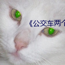 《公交車兩個人一前一後攻擊我