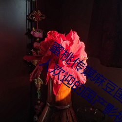 蜜桃传媒麻豆国产原创视频:一款深受年轻人欢迎的国产影视 走动）