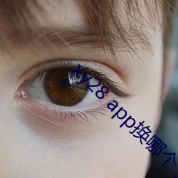xy28 app換哪個了