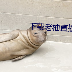 下载老柚直播平台