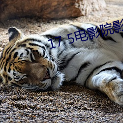 17 5电影(yǐng)院(yuàn)影讯