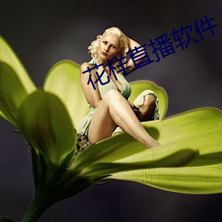 花樣直播軟件