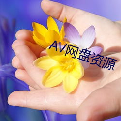 AV网(wǎng)盘资源