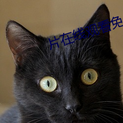 片在线观看免费 （跋来报往）