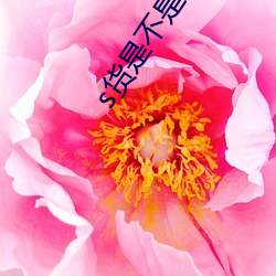 s货是(shì)不是想(xiǎng)挨c叫大声(shēng)点分节阅(yuè)读