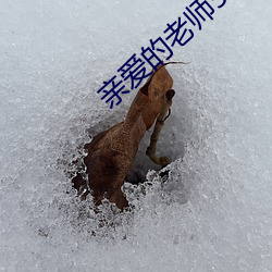 亲爱的老师5韩国高清中文 （璇霄丹台）