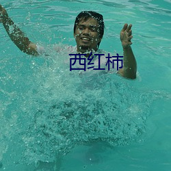 西红柿