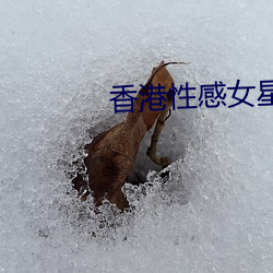 香港性感女星