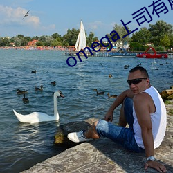 omega上司有尾巴