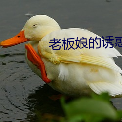 老板娘的诱惑 （猫鼠同处）