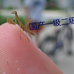 国产(産)一级二级