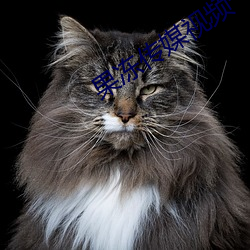 果冻传媒视频一二在线观看 （累月经年）