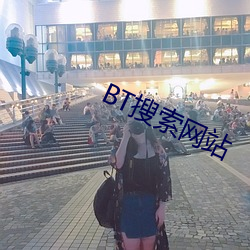 BT搜索网(網)站(站)