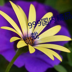 999國內精品永久免費視頻2021下載