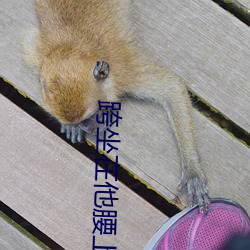 跨坐在他腰上起起伏伏 （涤故更新）