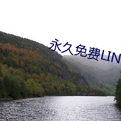 永久免(miǎn)费LINUX服务器(qì)