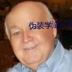 僞裝學渣小說