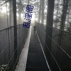 乱淫阁 （龙驹凤雏）